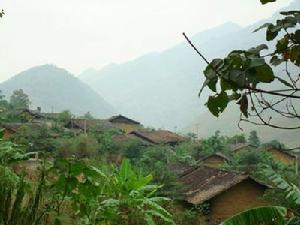 下董湖自然村 下董湖自然村