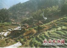 南山頭村[福建寧德市福安市上白石鎮下轄村]