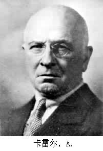 卡雷爾，A.