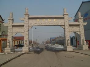 台頭鎮[山東壽光市地區]