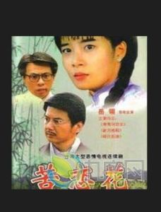 《苦戀花》 《苦戀花》