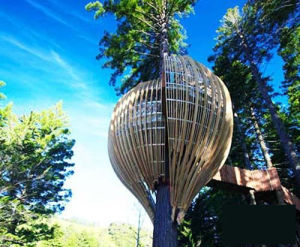 世界第一大樹屋