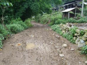 丁家寨上寨自然村 丁家寨上寨自然村