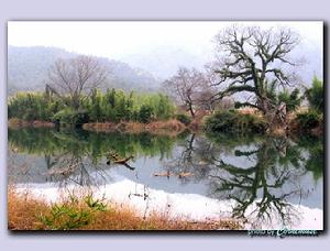 深渡水生態旅遊區 深渡水生態旅遊區