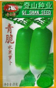 青脆水果蘿蔔 青脆水果蘿蔔