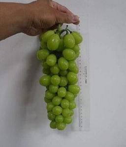 陽光玫瑰葡萄 陽光玫瑰葡萄