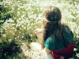 蒲公英女孩 蒲公英女孩