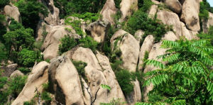 河南嵖岈山國家地質公園 河南嵖岈山國家地質公園