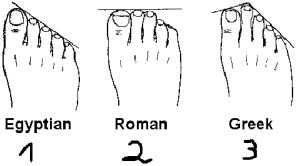 人類的腳趾依據長度，可以分為埃及腳、羅馬腳、希臘腳這3種！