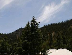 哈里哈圖國家森林公園