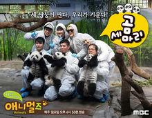 Animals[韓國MBC電視台綜藝節目]