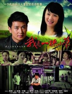 《我是一顆小草》 《我是一顆小草》