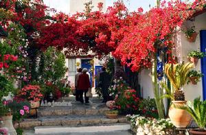 下花樓村 下花樓村