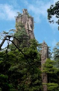 莽山國家森林公園 