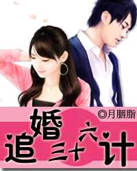 追婚三十六計 追婚三十六計