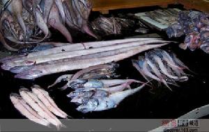 （圖）因污染導致的變異