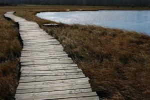 木蘭清風 木蘭清風