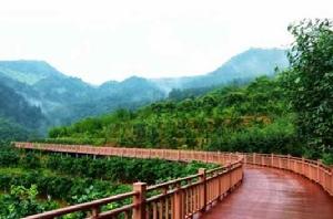 大余縣丫山風景區 大余縣丫山風景區