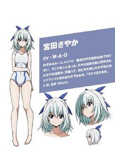 競女!!!!!!!![XEBEC改編的電視動畫作品]