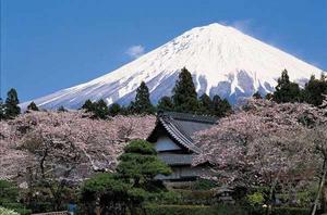 靜岡[日本縣份]