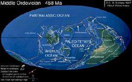 揚子地台 揚子地台