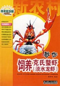 教你飼養克氏螯蝦 教你飼養克氏螯蝦