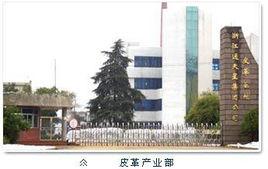 浙江通天星集團股份有限公司