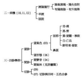 四診八綱 四診八綱