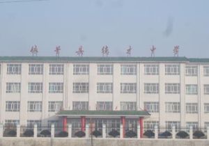 依蘭縣德才中學 依蘭縣德才中學