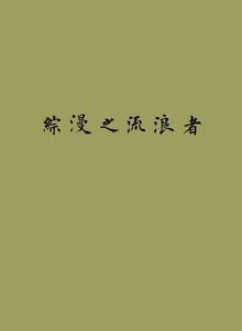 綜漫之流浪者 綜漫之流浪者