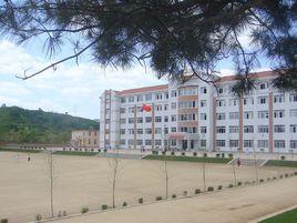 東湯鎮九年一貫制學校 東湯鎮九年一貫制學校