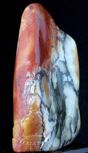 《奇珍閣》左側面圖