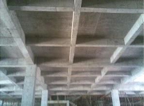 井格式樓板 井格式樓板