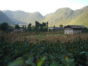 波糯壩村 波糯壩村