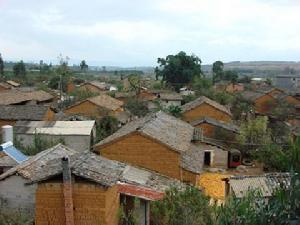 火木龍村 火木龍村