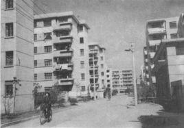 海濱新村街道 海濱新村街道