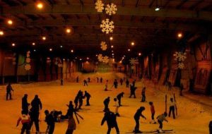 達永山四季滑雪館 達永山四季滑雪館