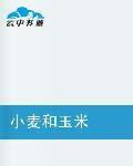 小麥和玉米 小麥和玉米