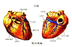 冠狀動脈搭橋術