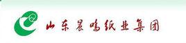 山東晨鳴紙業集團齊河板紙有限責任公司 山東晨鳴紙業集團齊河板紙有限責任公司