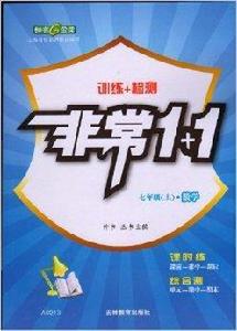 鍾書金牌非常1+1 訓練+檢測數學