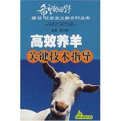 高效養羊關鍵技術指導 高效養羊關鍵技術指導