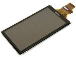 賓主效應 賓主效應