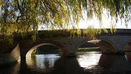 夢縈康橋 夢縈康橋