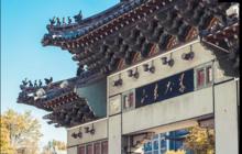 齊魯醫學部校友門