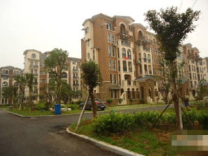 東方夏威夷實景