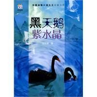 《黑天鵝紫水晶》