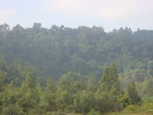 懶堆房村 懶堆房村