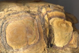 赤石禹餘糧湯 赤石禹餘糧湯