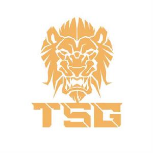 TSG電子競技俱樂部 TSG電子競技俱樂部